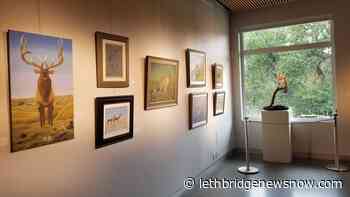Lethbridge artist's work on display at Helen Schuler Nature Centre - Lethbridge News Now