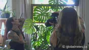 Lethbridge photographer redefining boudoir photography, promoting body positivity - Global News