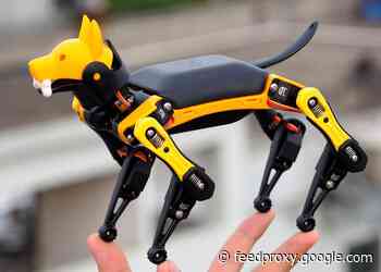 Petoi Bittle DIY robot dog pet hits Kickstarter