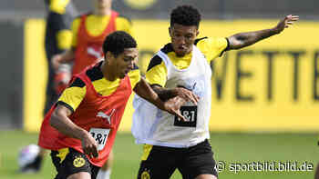 Borussia Dortmund: Das sind die „neuen Sanchos“ - SportBILD