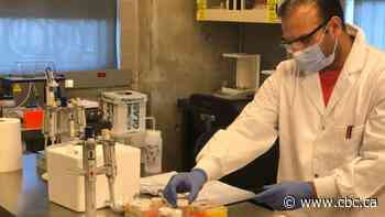 Testing sewage for COVID-19 could be 'early warning' system, Ontario researchers hope