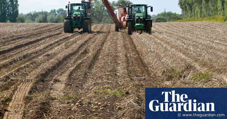 Country diary: how four crates can feed a hundred thousand