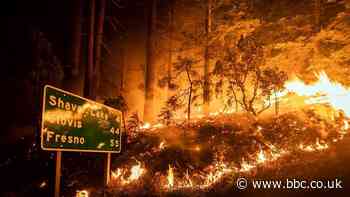 Wildfires burn through record area in California as blazes continue to spread