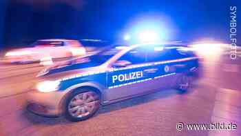 Dieburg: Mehrere Festnahmen: 3 Verletzte bei Familienfeier - BILD