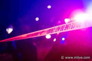 Man dies of medical emergency while driving, crashes into utility pole, police say - MLive.com