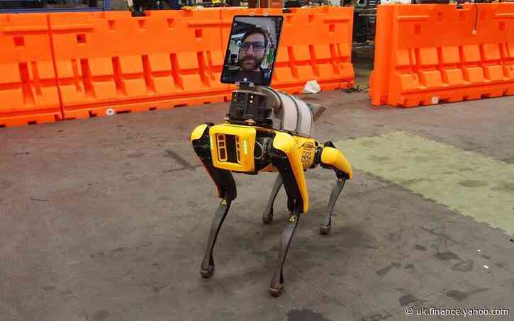 Robot dog used to remotely monitor coronavirus patients goes on sale in the UK