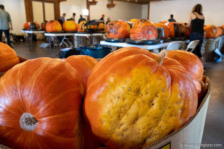 Descanso Gardens’ Halloween plans include a pumpkin extravaganza throughout October