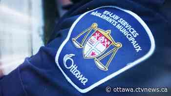 No tickets issued for large gatherings on Labour Day weekend in Ottawa - CTV News Ottawa