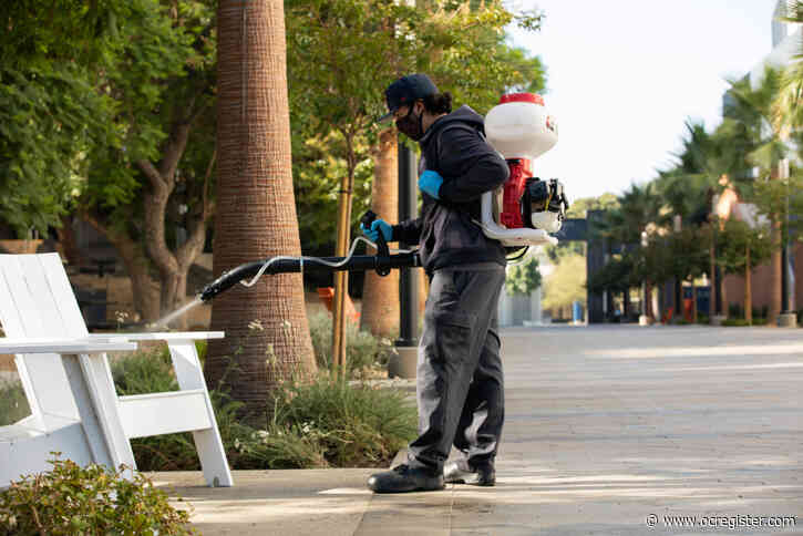 Back to school: Cal State Fullerton begins the fall semester almost entirely online