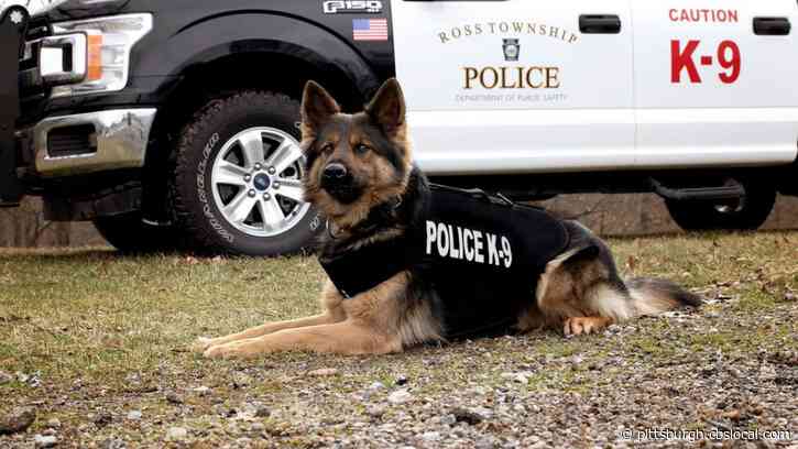 Ross Township Police Mourn Loss Of K-9 Jimy