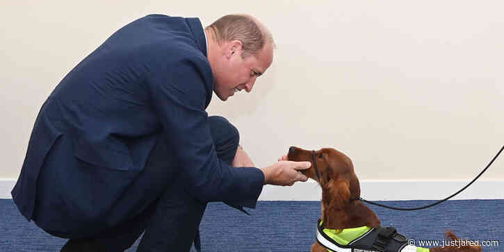 Prince William Falls In Love With PTSD Training Dog During Northern Ireland Visit