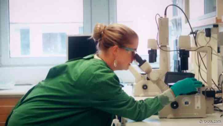 Concerns raised over race to COVID-19 vaccine