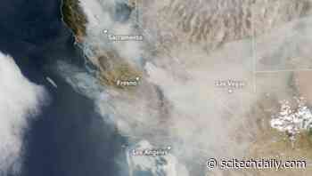 Intense Heat, Winds, and Drought Fuel Smoky Infernos Across Western United States