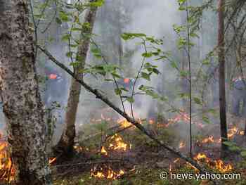 'Zombie' fires smoldered beneath Arctic ice all winter then reignited, causing one of the region's worst fire seasons in history
