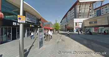 Pigeon put down after being attacked by youths at Gateshead Interchange - Chronicle Live