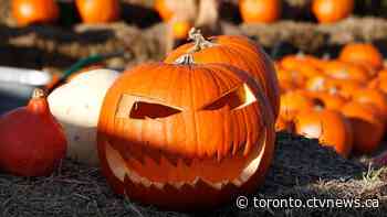 Toronto 'won't hesitate' to cancel trick or treating this Halloween if it's too risky - CTV Toronto
