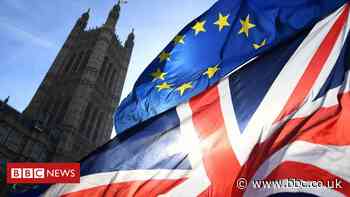 Brexit: Minister and officials disagree over NI port controls