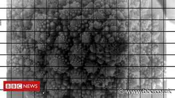 Vera Rubin: Super telescope's giant camera spies broccoli