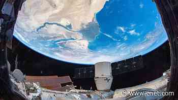 Space isn't just a distraction. It could be our salvation     - CNET