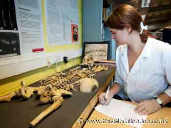 Colne Valley dig findings go on show from HS2