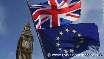 Pro-Europe group wants to hear about Hillingdon Brexit plans