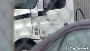 Trucking company sent memo telling drivers not to discuss COVID-19 case with Saskatoon dairy plant