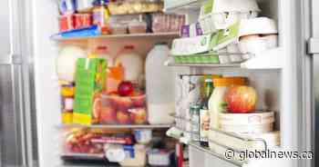 In need of a fridge repair? What you need to know about extended warranty plans