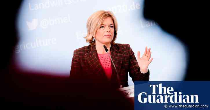 German farmers face possible pig culls as African swine fever discovered