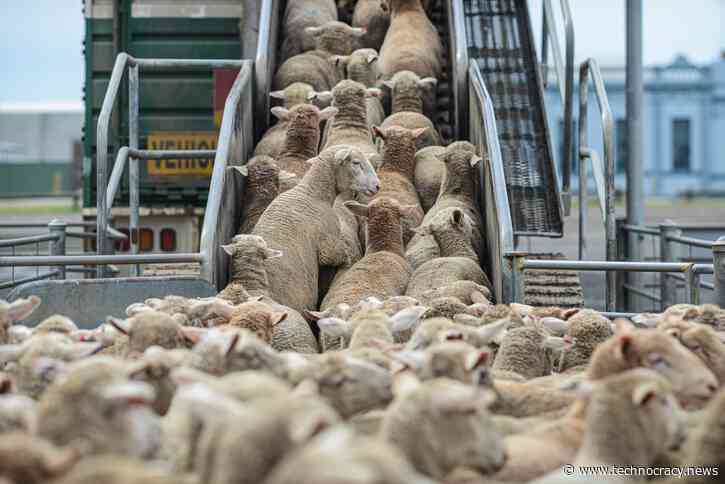 World Economic Forum’s Techno-Totalitarian Roadmap