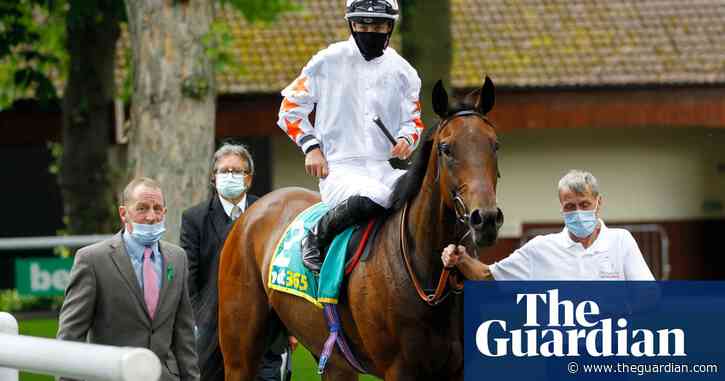 Talking Horses: BHA ban Phoenix Thoroughbreds from British racing