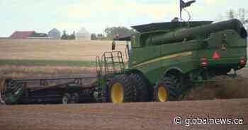 Harvest progressing rapidly in Saskatchewan as some areas hit hard by frost