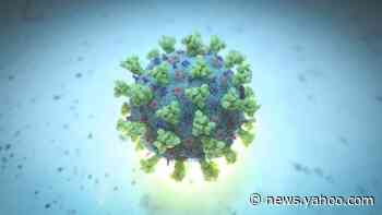 Severe COVID-19 riskier than heart attack for young adults; antibiotic shows no benefit