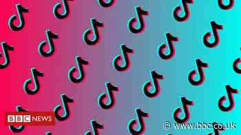 TikTok admits restricting some LGBT hashtags