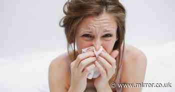 Covid-19, flu or the common cold - how to tell the difference this winter