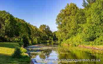 Gallery: Warrington named one of UK's greenest towns - Warrington Guardian
