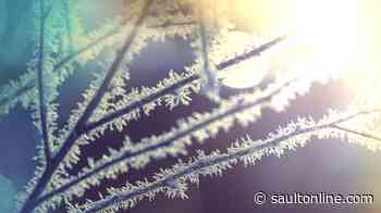 Frost Advisory in Effect Overnight