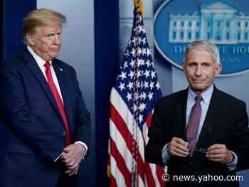 Dr. Fauci said Trump's attention span is 'like a minus number' and the president's 'sole purpose is to get reelected,' according to Woodward's book