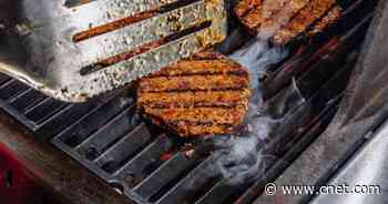 Best grills for 2020: Gas, charcoal and kamado grills compared     - CNET