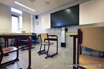 Taalschool Language Aces van start (Zedelgem) - Het Nieuwsblad