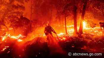 Think 2020's disasters are wild? Experts see worse in future