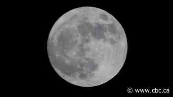 NASA says it will buy moon rocks and dirt from private companies