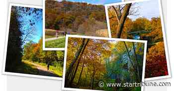 Show us your fall colors