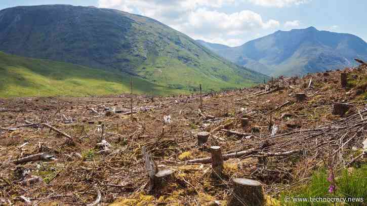 Environmentalists Cause Environmental Disaster In Europe
