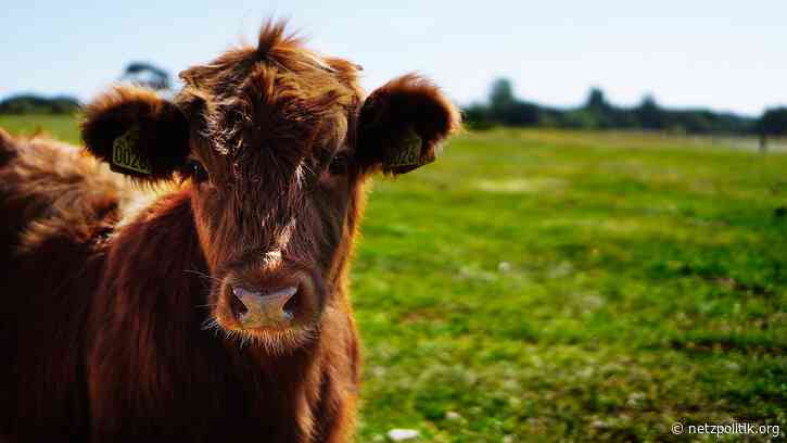 Wochenrückblick KW37: Die Alarmglocken läuten (nicht)