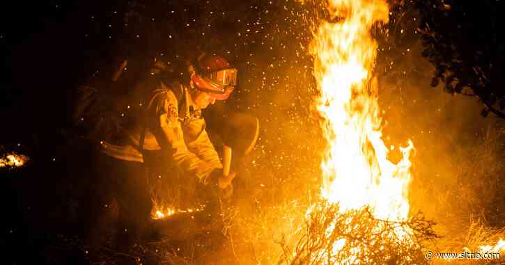 States are in desperate search for help battling record wildfires