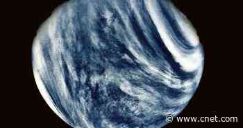 Venus is hell, but science is seriously looking for life in its skies     - CNET