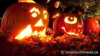 Annual Halloween party on Church Street cancelled this year due to COVID-19
