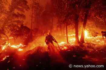 Think 2020's disasters are wild? Experts see worse in future