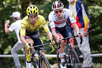 Roglic en Pogacar, vrienden en vijanden tegelijk: ‘Ik zal nog meer gaan aanvallen’