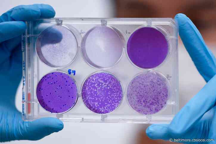 Minority Groups Less Likely To Participate In COVID-19 Vaccine Studies; Researchers Say Trials Are Safe